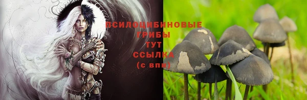 mix Баксан