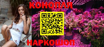 сатива Будённовск
