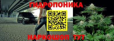 сатива Будённовск