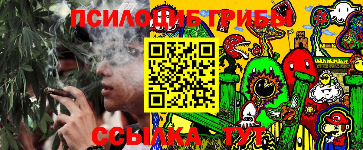 Псилоцибиновые грибы мухоморы Вольск