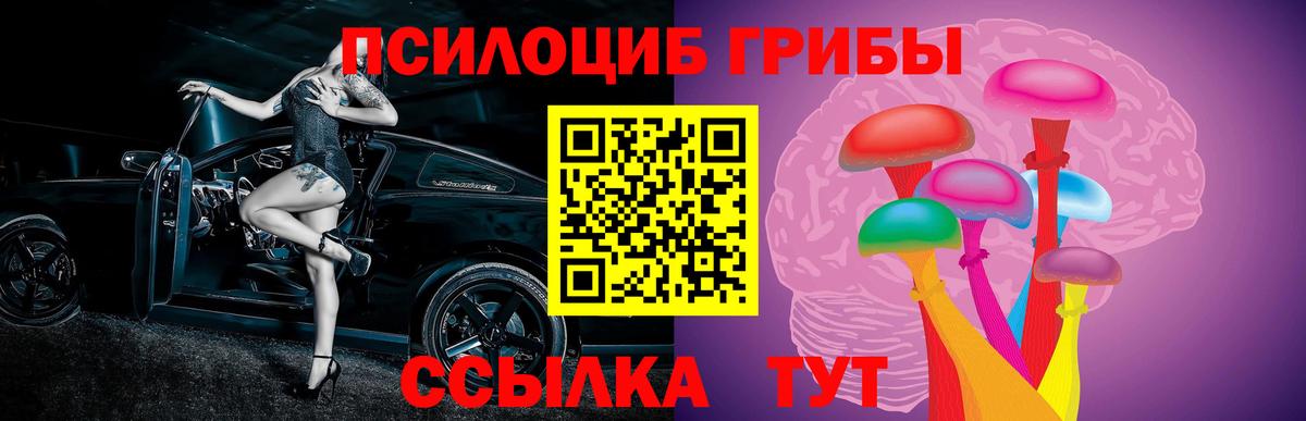Псилоцибиновые грибы Psilocybine cubensis  Вход с VPN  Вольск 