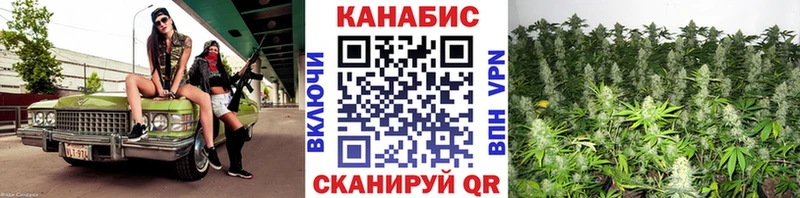 Шишки марихуана OG Kush Вольск